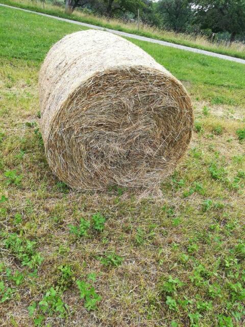 Bio-Rundballen