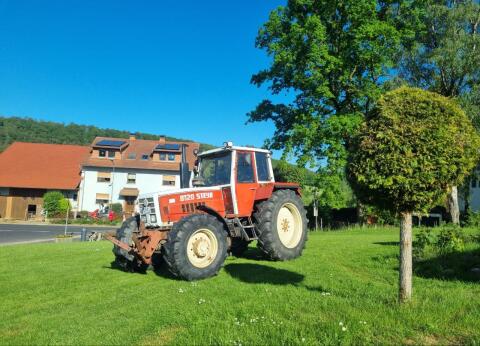 Steyr 8120 Turbo, Bj. 1981, TÜV bis 04/27