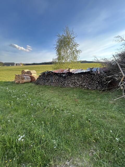 Brennholz