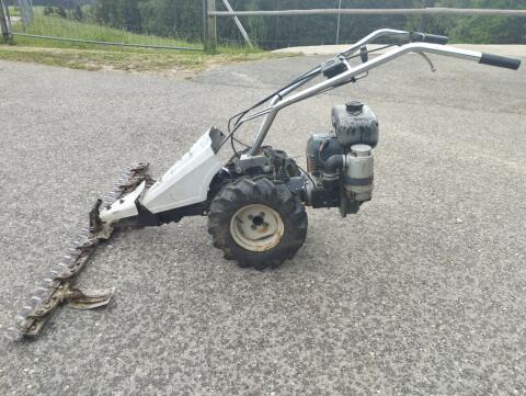 Rotax Motormäher