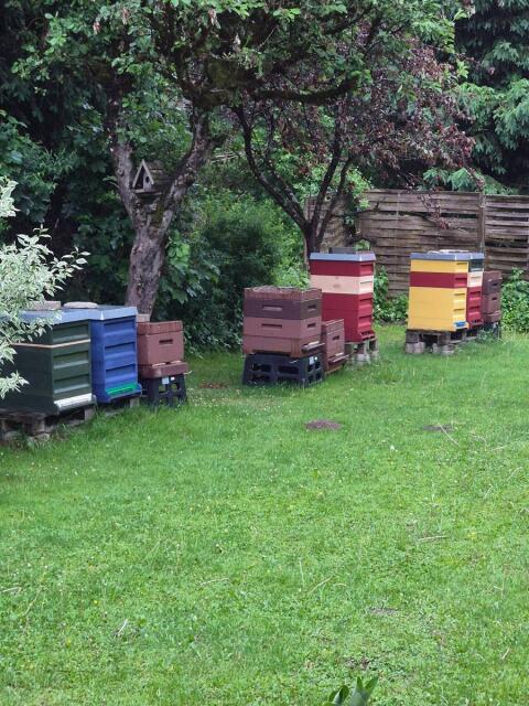 Aufstellplatz für Bienen