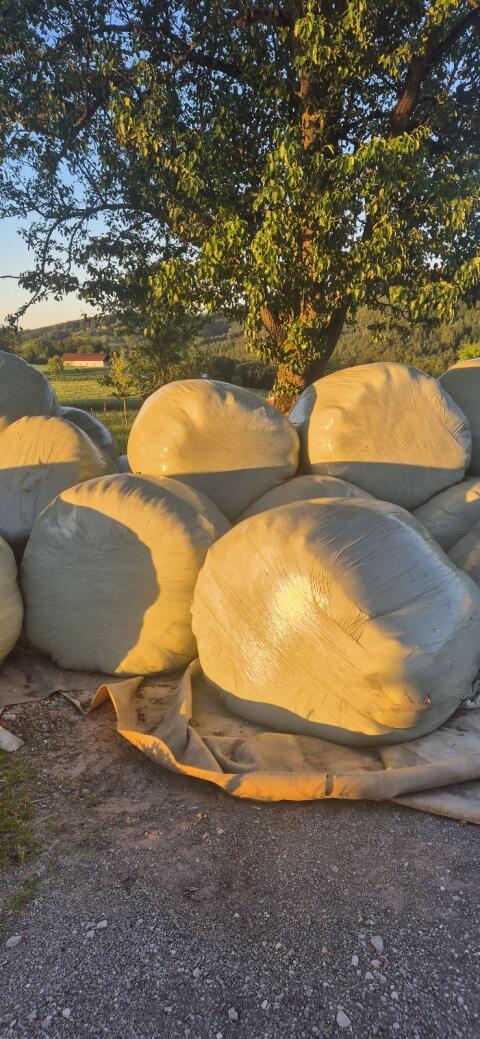 Silageballen