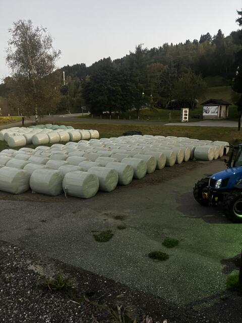 Maissilageballen