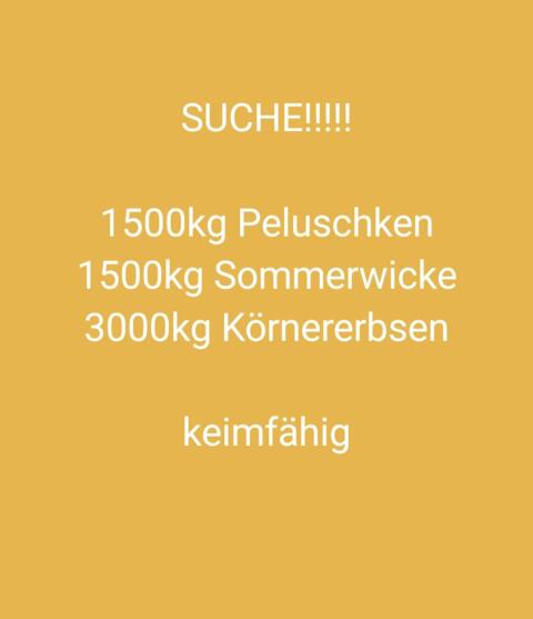 Suche Erbsen