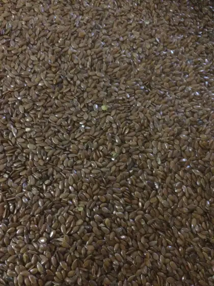 Bio-Leinsamen