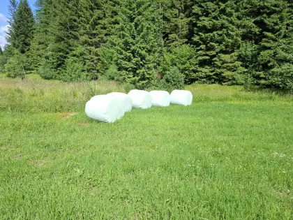 Siloballen