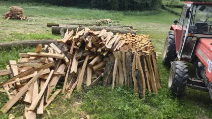 Brennholz