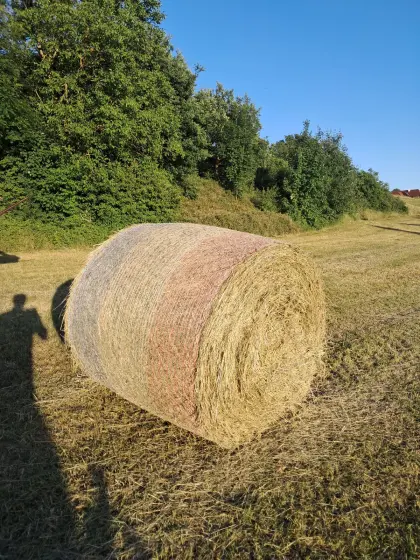Heuballen 1. Schnitt 2026, Restbestände 2025