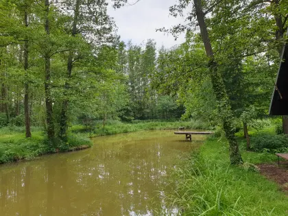 Idyllische Anlage mit 2 Fischteichen zu verpachten
