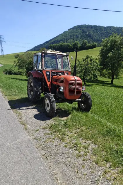 Steyr 190