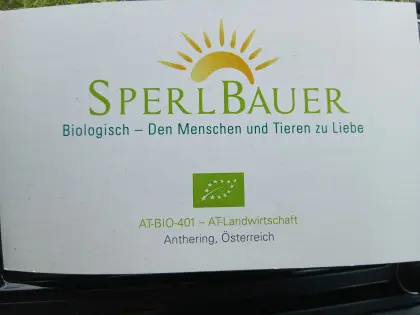 Bio-Legehennen Lohman Braun
