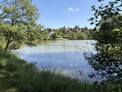 Teiche zu verpachten