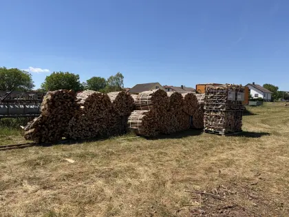 Brennholz