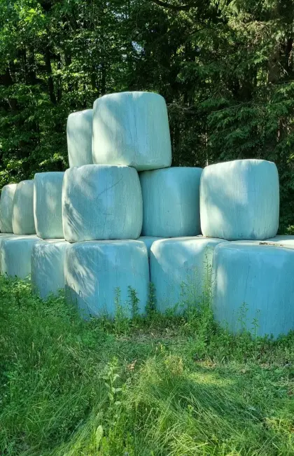 Siloballen 2025 Silage