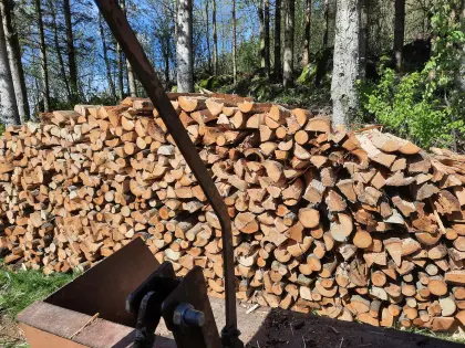 Brennholz weich