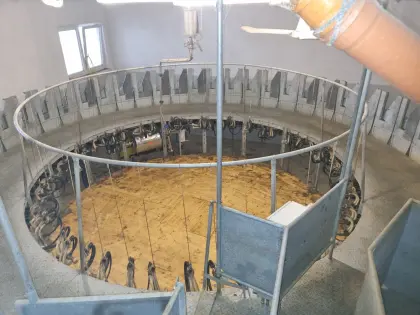 Melkkarussell für Ziegen/Schafe