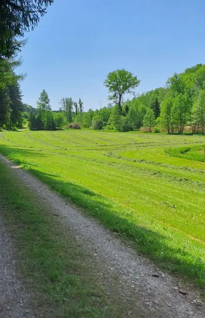 Suche HD-Ballenpresse, Hochdruckballenpresse, Welger, Claas