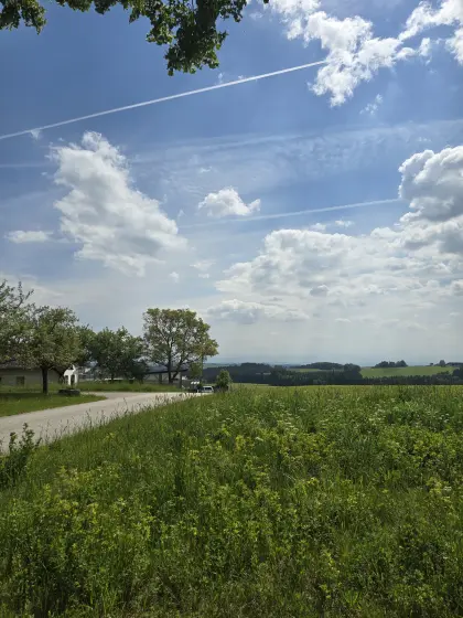 Suche Weidefläche zur Pacht