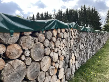 Holz, Brennholz, Scheitholz, Fichte, Kiefer