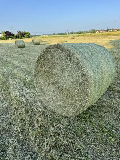 Heu Rundballen Stroh Heuballen Pferdeheu Futterheu Bioheu