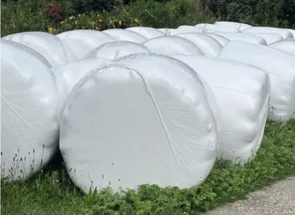 Silo-Ballen 1. Schnitt