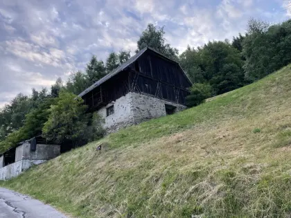 Stall mit Wiese/Weide 3 ha