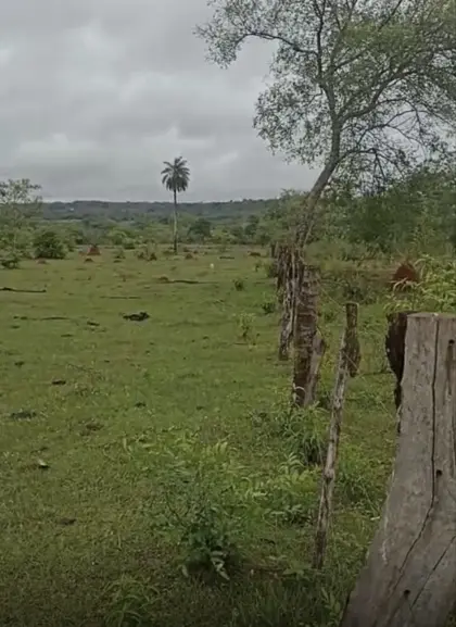 5 ha Traumgrundstück in Santaní- Paraguay