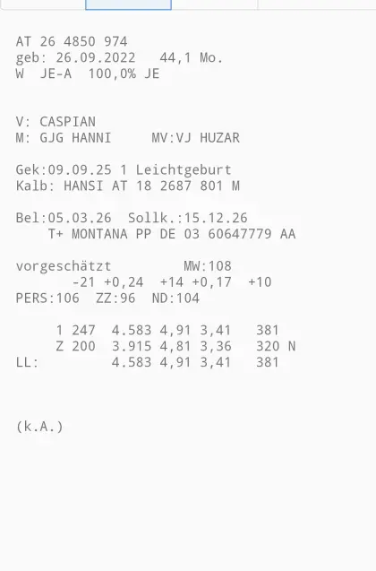 Jersey Erstlingskuh