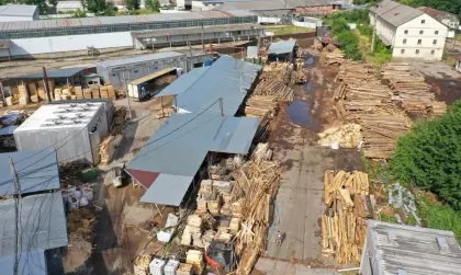 23.000 Hektar Forstwirtschaft und Holzverarbeitungsbetrieb