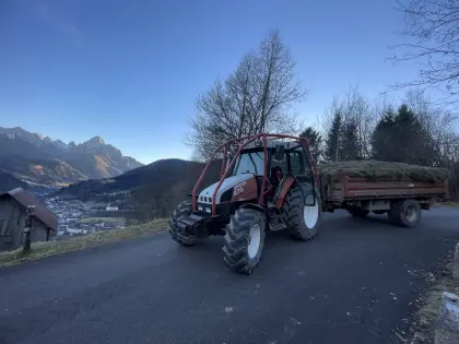 Vendo Steyr 975