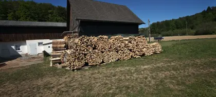 Brennholz, hart oder weich