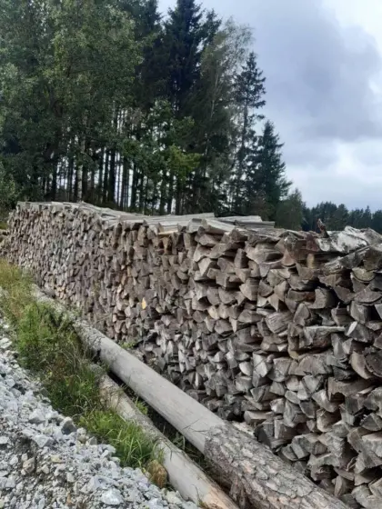 Brennholz