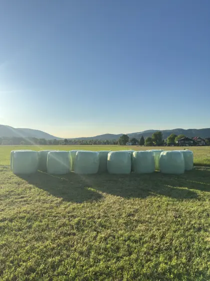 Silageballen