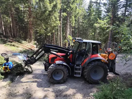 Holzschlägerung und Bringung