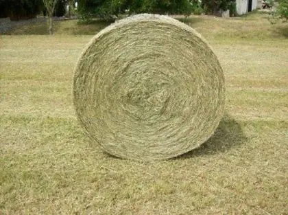 Heu-Rundballen Bio (Grumet)