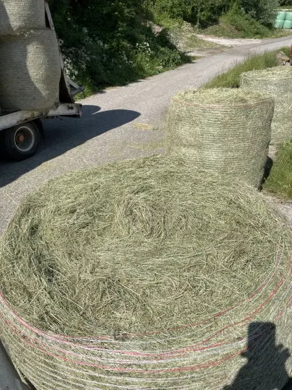 Heu-Rundballen