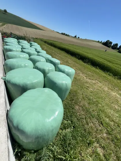 Silageballen