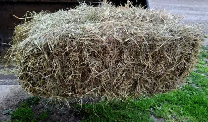 Heu Kleinballen