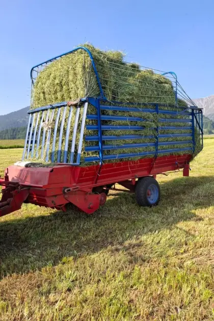 Bevilaqua Ladewagen