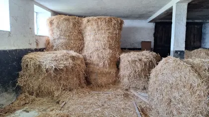 Stroh, Rundballen