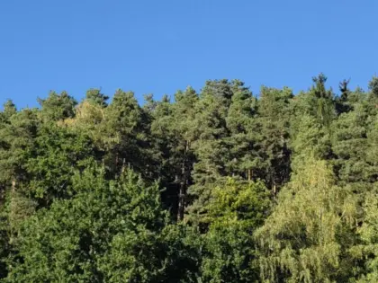 Suche Wald, landwirtschaftliche Nutzfläche, Teich