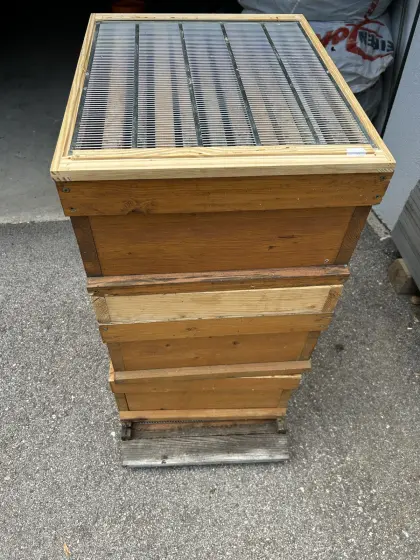 Bienen