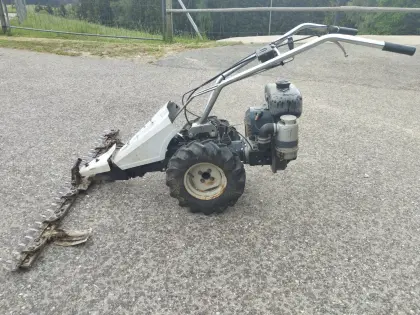 Rotax Motormäher