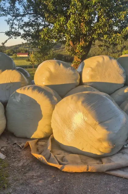 Silageballen