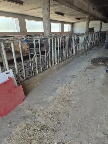 Aufstallung Fressgitter, Liegeboxenrahmen