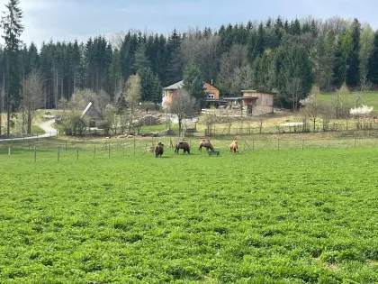 Naturidylle in absoluter Alleinlage