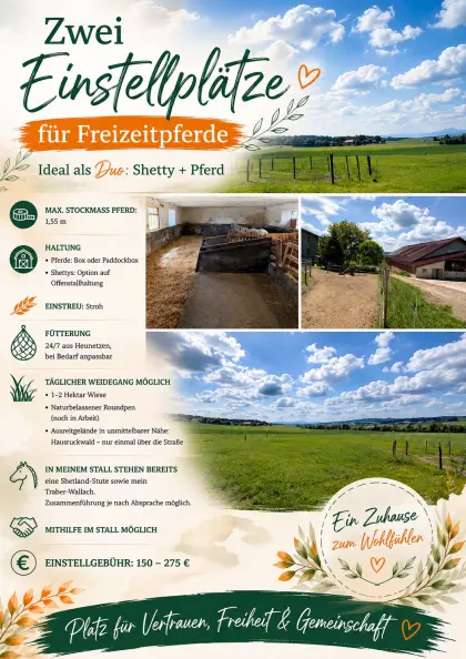 Einstellplätze zu vergeben (max. 2 Ponys und 1 Pferd)