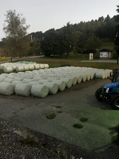 Maissilageballen