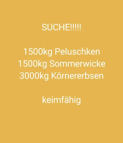 Suche Erbsen