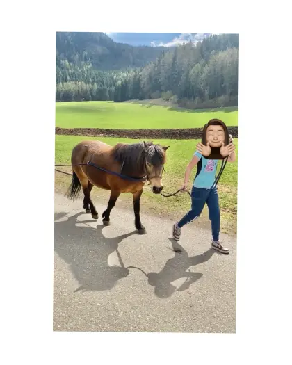 Beistellpferd, Pony Beisteller